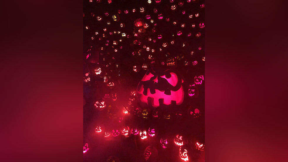 several lit-up jack-o-lanterns